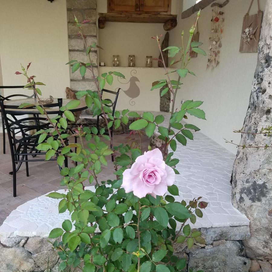 Nonna Pasqualina B&B 산타테레사의갈루라 외부 사진